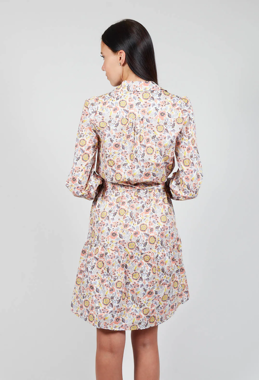 Belted Button Down Shirt Dress in Waterflower Pastel