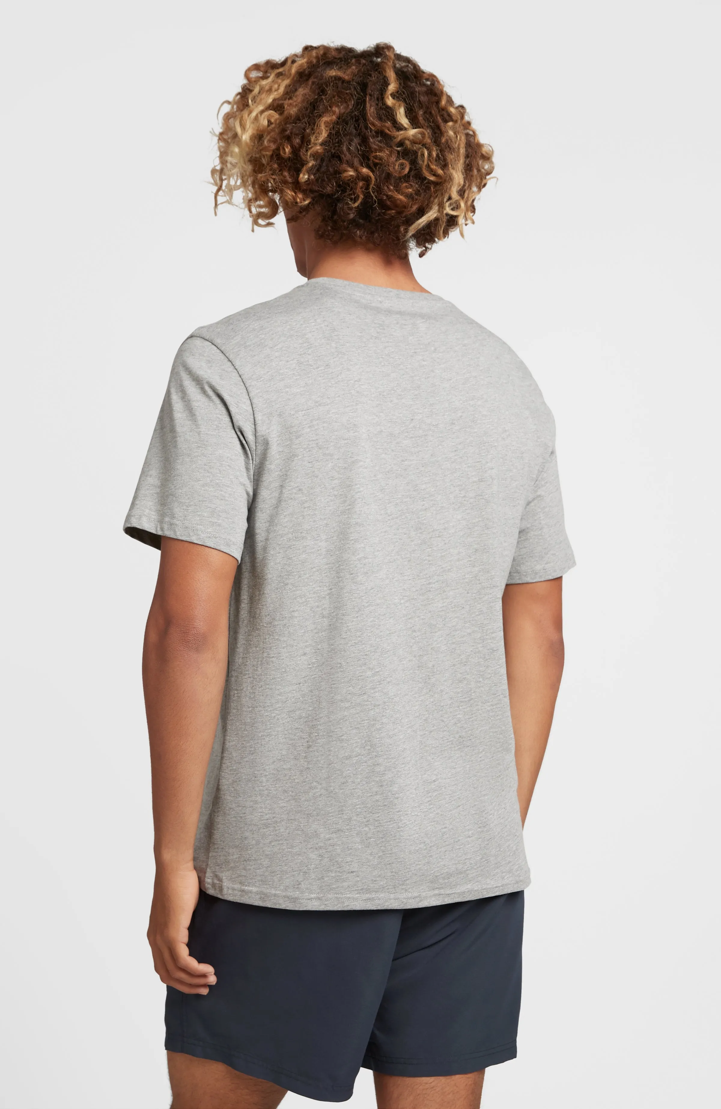 State Emblem T-Shirt | Silver Melee